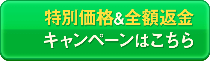 公式サイトはこちら